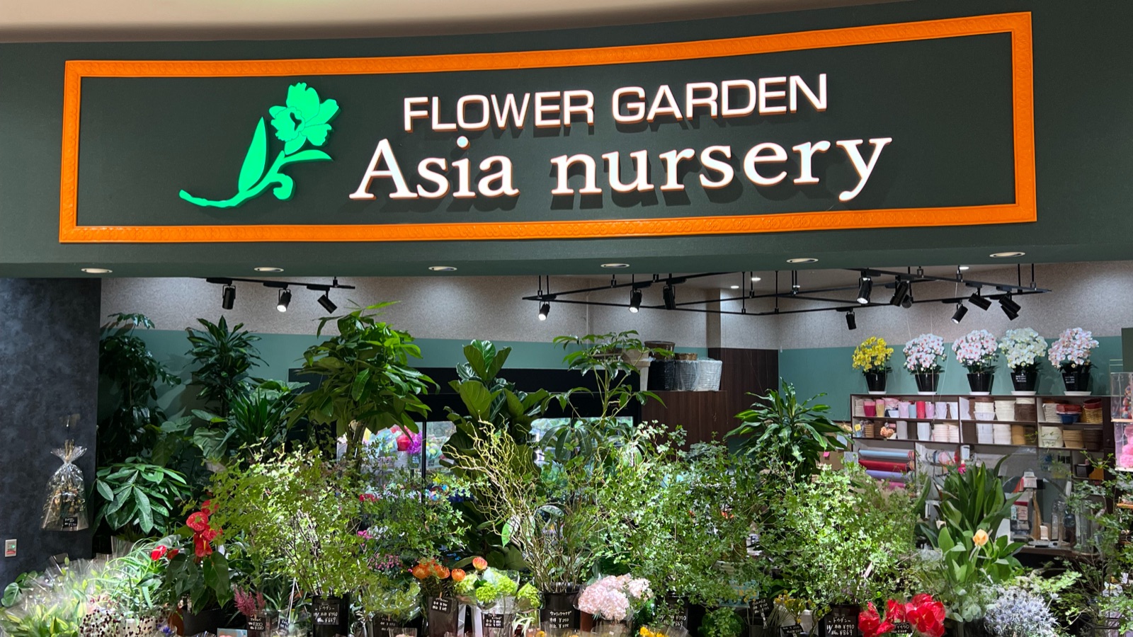 FLOWER GARDEN Asia nursery 店頭